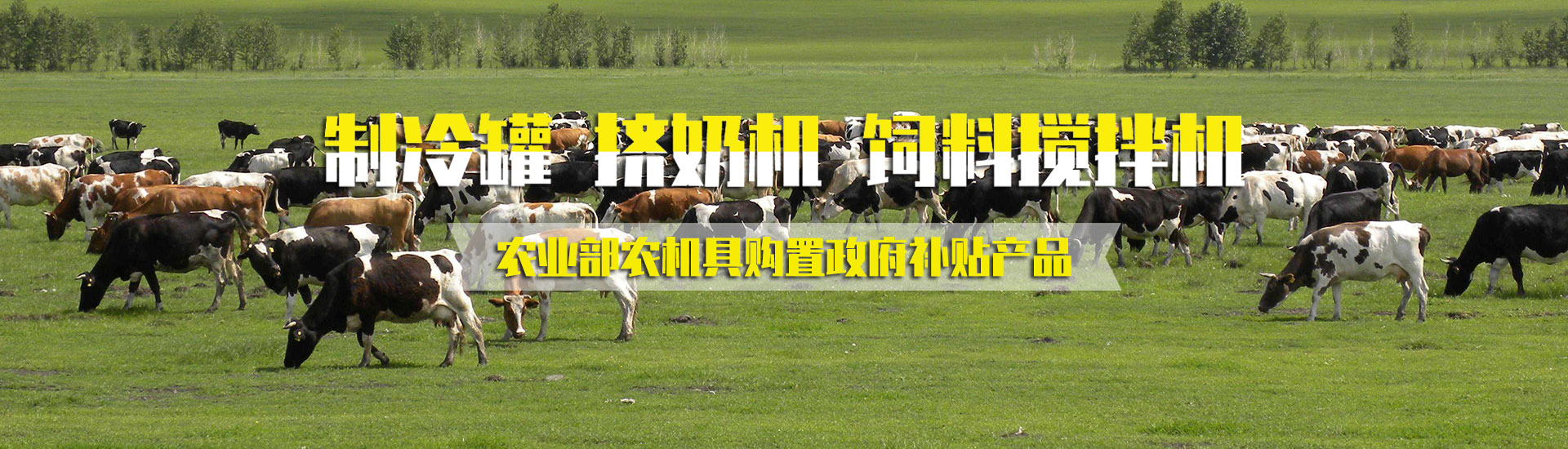 杏仁视频APP成人官方機械
